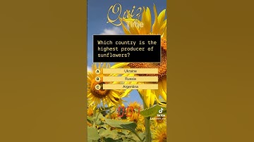 how did you do? #brain #knowledge #game #quiz #foryou #fyp #trivia #quiztime