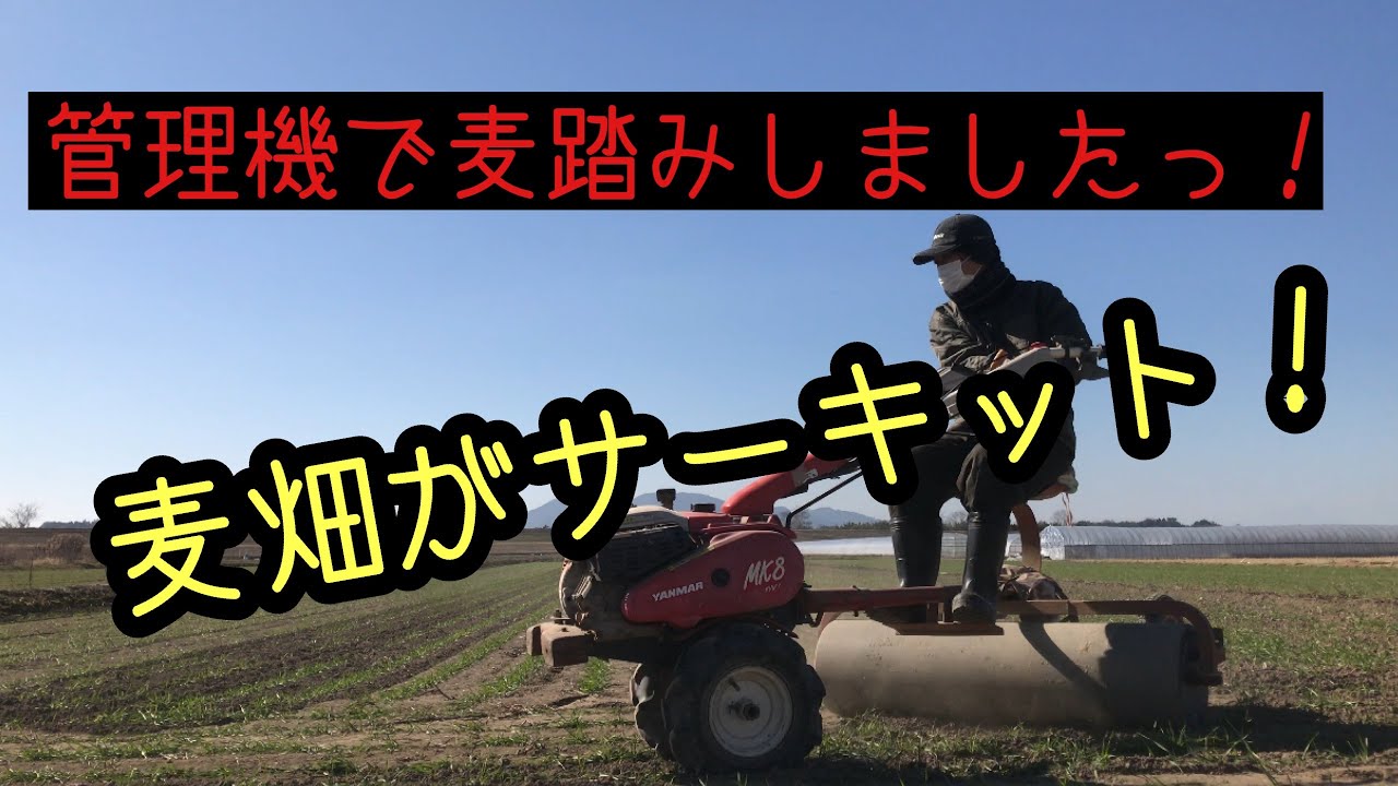 ◇sold◇売約済み クボタ 管理機 TG750 テーラー 乗用麦踏ローラー付き