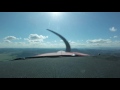 grumman tiger aa-5b take-off creswell, oregon 77S