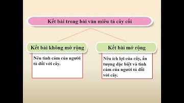 Tuần 26   TLV 4   Bài 51   Luyện tập xây dựng kết bài trong bài văn miêu tả cây cối