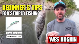 Beginner’s Guide to Striped Bass (Gear + Tips That Work)