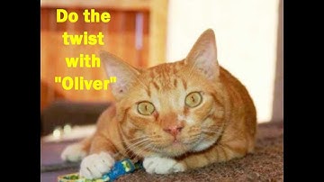 How To Get What You Want In Life