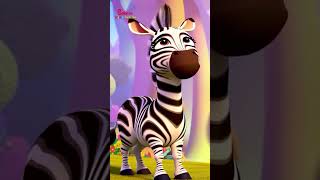 Zebra Song | English Nursery Rhymes for Children's | Galatta Kids English| Shorts