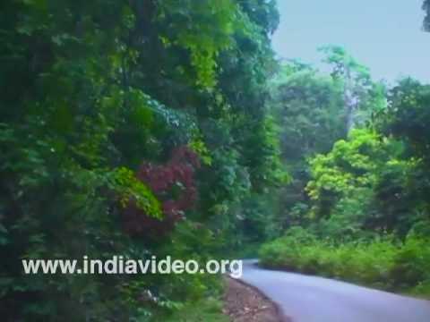 Kudajadri hills, one of the popular hill stations located in Shimoga district in Karnataka. This hill station is also noted for the seat of the great Indian philosopher Adi Sankaracharya and is known as Sarvajnapeedom. For more information on this video click - www.indiavideo.org Video by www.invismultimedia.com