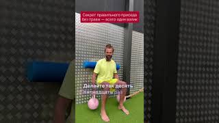 Сильные ноги без боли в спине. Осознанный присед — практика долголетия. Ссылка в профиле