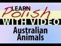 Learn Polish with Video - Australian Animals