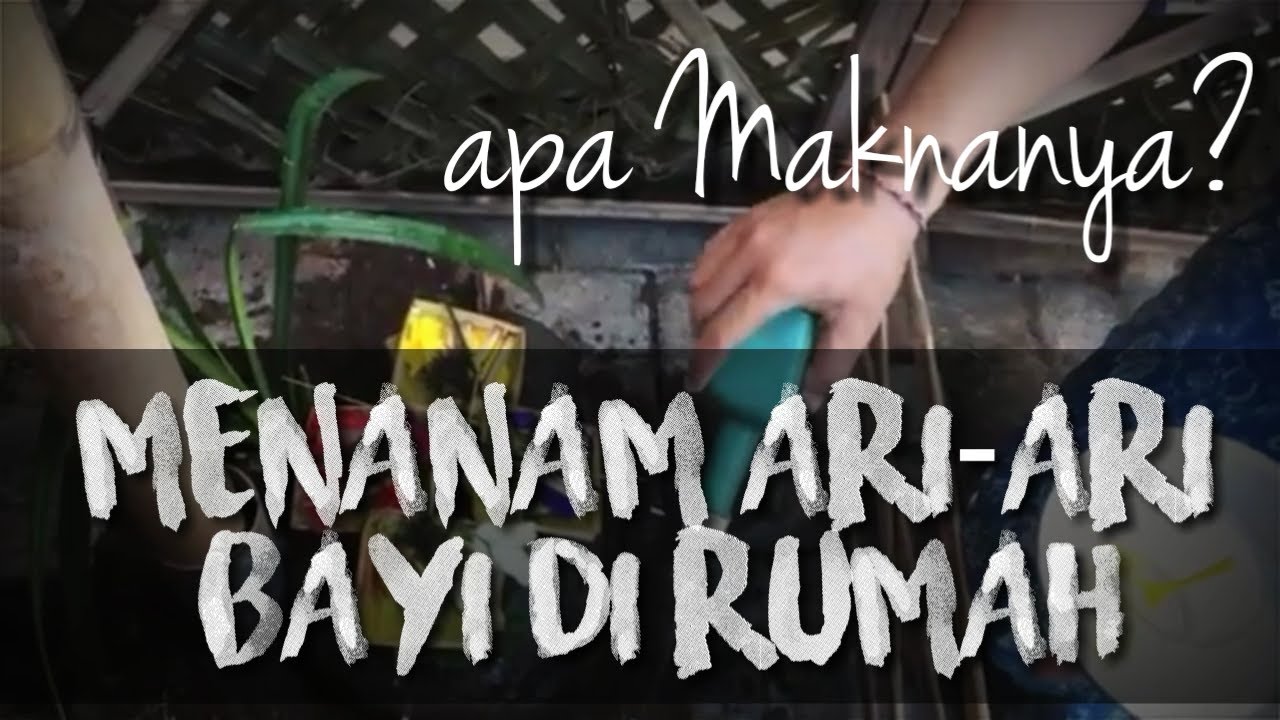 MAKNA TRADISI MENANAM ARI-ARI BAYI ORANG BALI| CATUR SANAK| BALI STORY