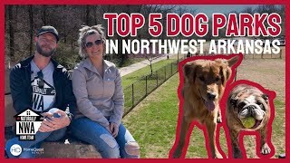 Top 5 Dog Parks in Northwest Arkansas | Best Spots for Your Furry Friend 5 Best Things To Do Outside In Northwest Arkansas