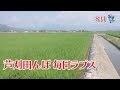芦刈田んぼ 毎日ラプス 芦刈田んぼ 毎日ラプス