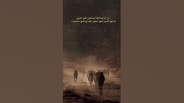 #اكسبلور #المصحف #راحة_نفسية #تلاوات #لايك #تلاوات_خاشعة #قرآن #qurantilawat #quranic #explore