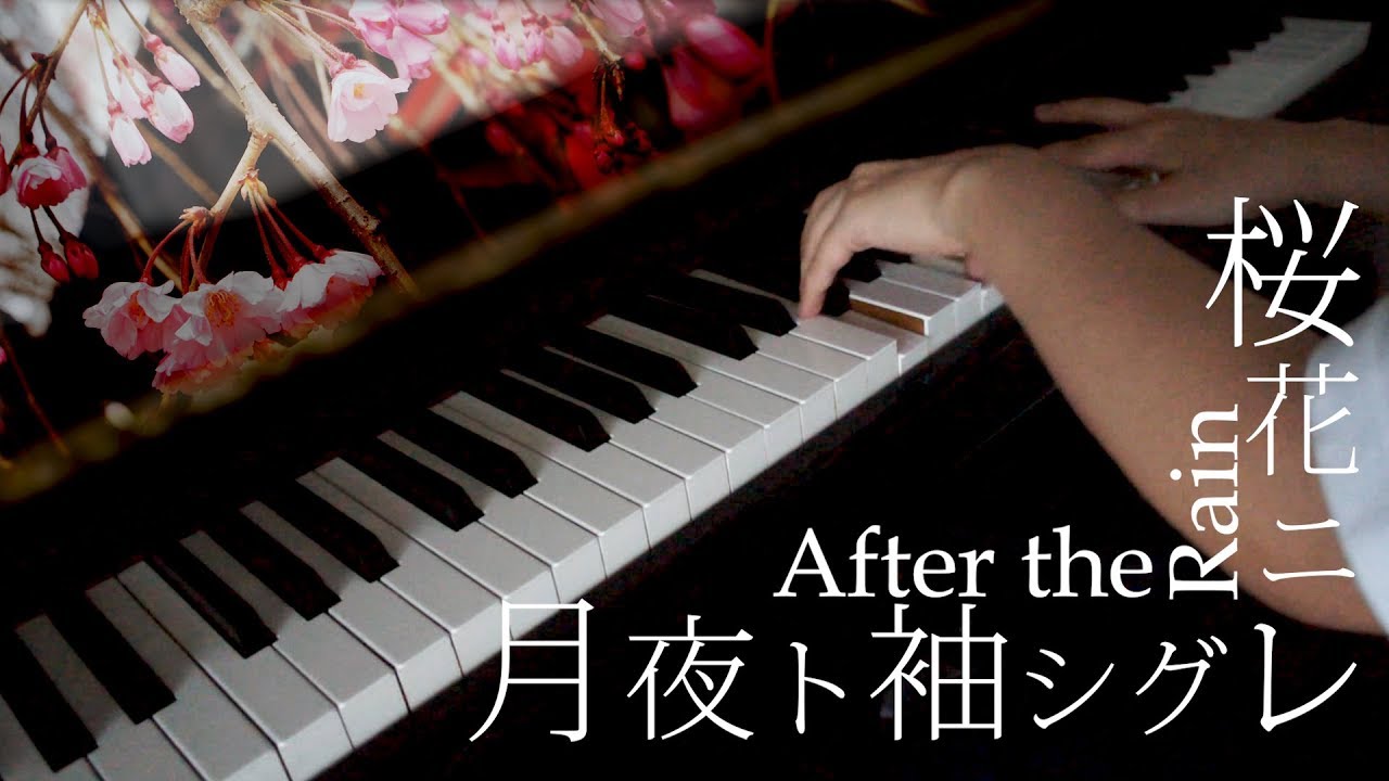 桜花ニ月夜ト袖シグレ After The Rain Slowly Piano Cover Ouka Ni Tsukiyo To Sode Shigure Soraru Mafumafu Youtube