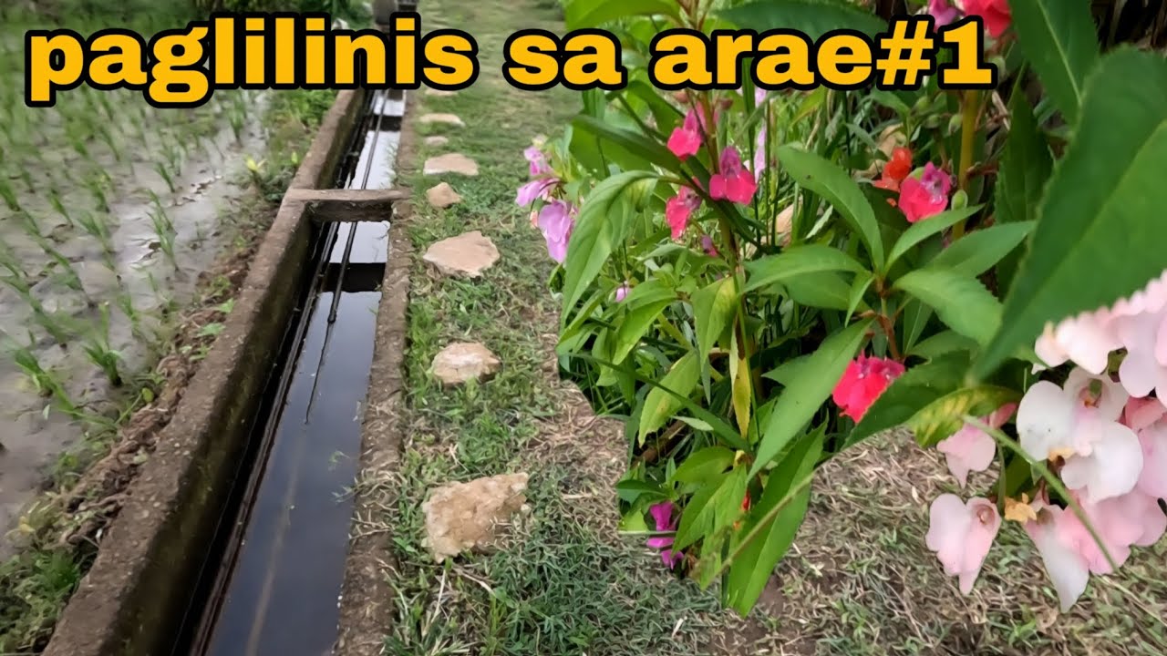 Paglilinis sa area #1  para sa ikakaganda ng paligid