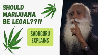 Marijuana be legal Sadhguru's POV #sadhguru #sadhgurulatest #meditation #mentalhealth #shorts
