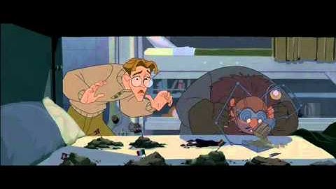 "you have disturbed the dirt!