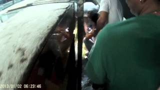 04052016 Pleco Shipment BTS