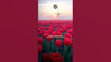 سورة البقرة الآية 55 و 56 - #كتابك_قرأنك