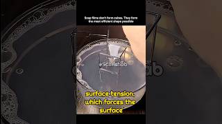 Why Soap Films Never Form Cube (Surface Tension Explain) #sciencefacts #science #shorts #viralshorts
