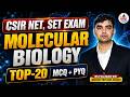 Molecular Biology for CSIR NET & Raj SET Exam 2026 | CSIR NET, SET Molecular Biology Top 20 PYQ