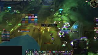 Освоение T5 контента TBC Anniversary. FOV restoration druid.