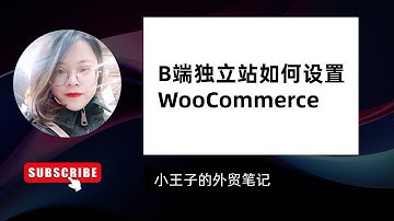B端外贸独立站如何安装和设置Wooommerce插件？C端商城WooCommerce功能阉割更适合你的B2B营销型外贸独立站 #woocommerceplugin #woocommerce
