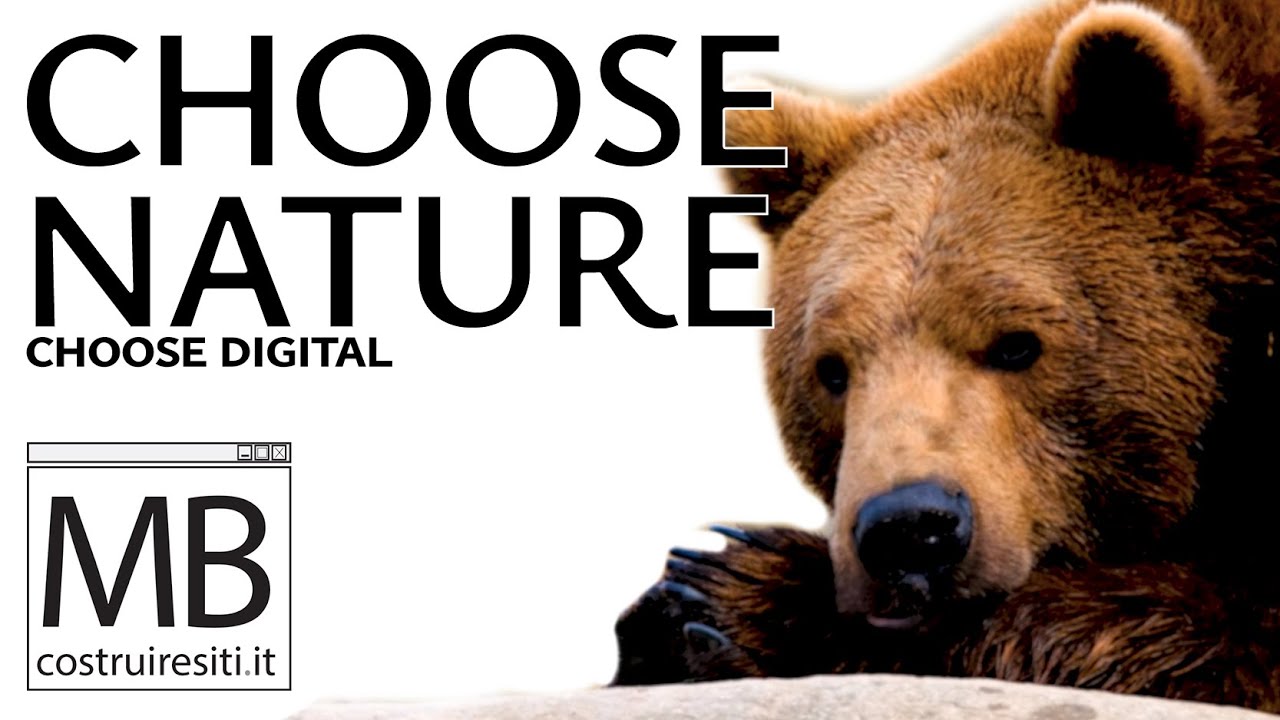 Video Respect Nature