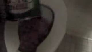 will it flush? 10/8/08