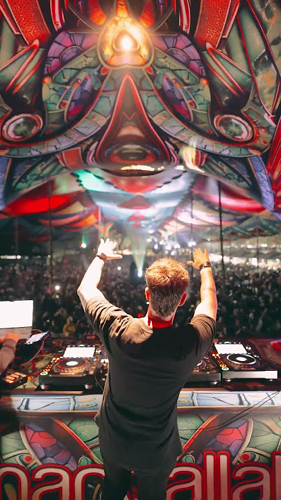 DMT - Mandallah 2024 👽 #djlife #dj #rave #psytrance #festival #electronicmusic
