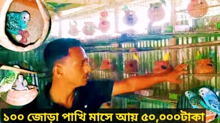 ১০০ জোড়া বাজরিগার পাখি পালন করে মাসে ৫০ হাজার টাকা আয় করা সম্ভব/ বাজরিগার পাখি পালন পদ্ধতি