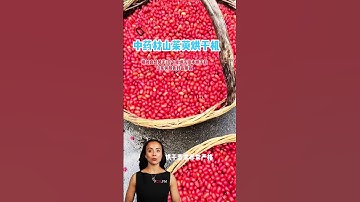 #fcnfm The Ultimate Drying Room for Efficient Dehydration of Fresh Ingredients