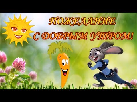 Пожелание С Добрым Утром! Позитив для поднятия настроения!