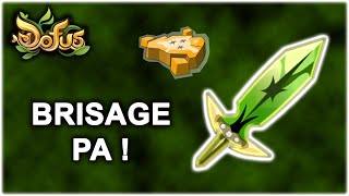 ASCENSEUR ÉMOTIONNEL EN BRISAGE PA ! - CROCOBUR - FORGEMAGIE - Gryfox [DOFUS]