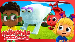 Catch the Gobblefrog! | Morphle and the Magic Pets | Available on Disney+ and Disney Jr