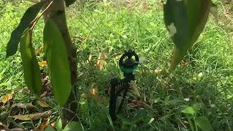 TƯỚI TỰ ĐỘNG NÔNG NGHIỆP SỬ DỤNG BÉC TƯỚI RIVULIS S2000 BÙ ÁP ISREAL