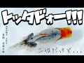 【金魚】理想の東錦を目指して！東錦専門の愛好会 | 上位5位をご紹介 | 金魚の品評会 親魚、二歳魚、当歳魚 | 関東彩鱗会 | @peperia 