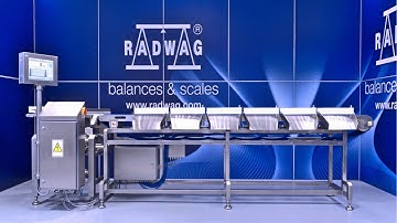 DWM HPS Sorting Checkweigher | RADWAG