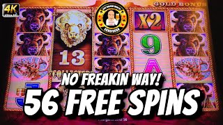 56 Free Spins With 13 Gold Heads On Buffalo Gold But..... screenshot 3