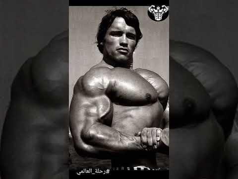 العملاق ارنولد شوارزنجر