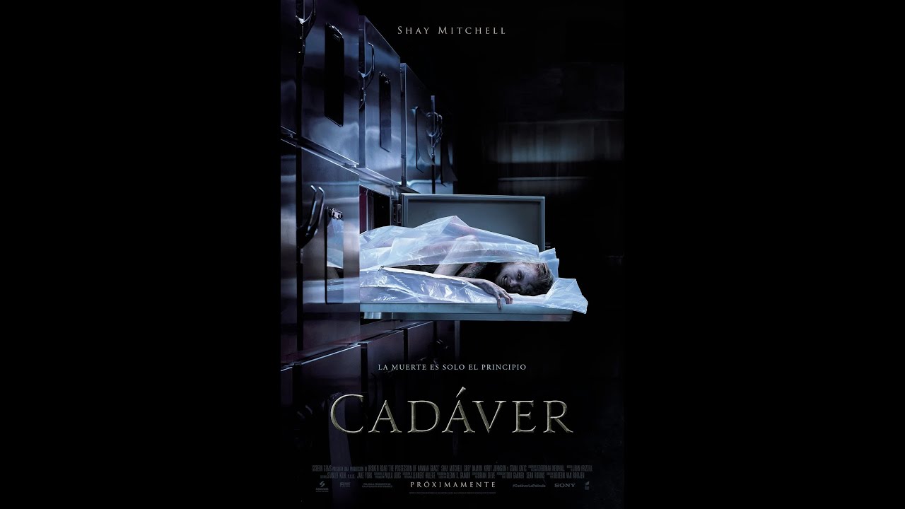 Cadáver (2018) Trailer en español. - YouTube