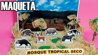 MAQUETA BOSQUE TROPICAL SECO