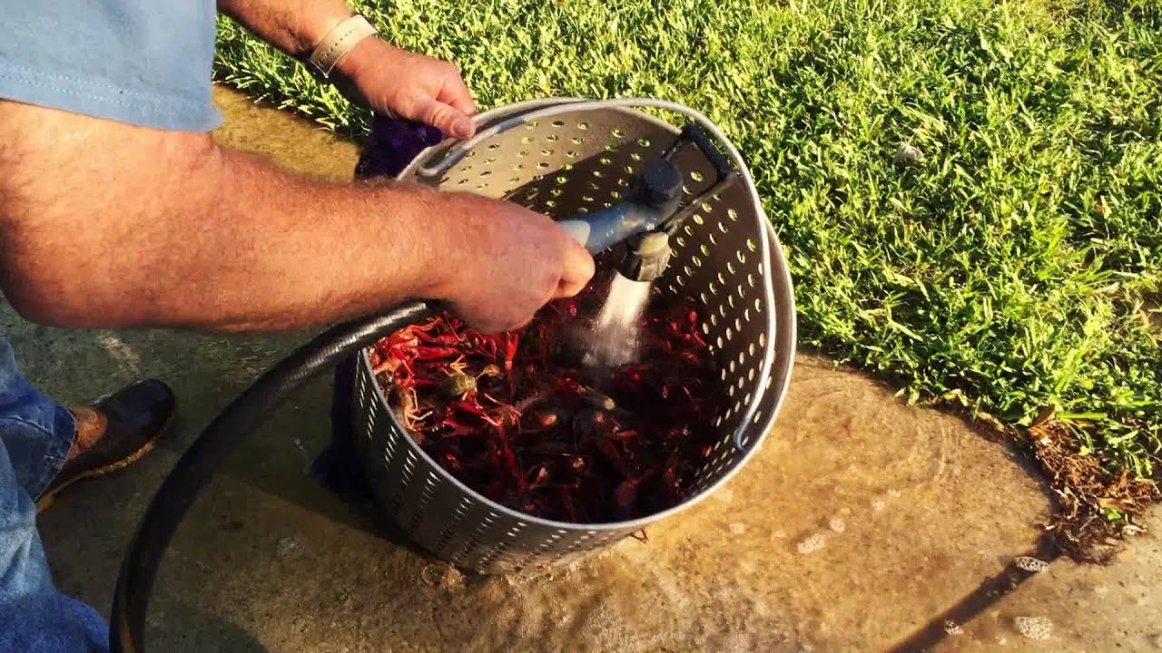 Camper Chronicles Schriever Apr 2016