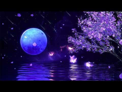 (No Ads) Sleep Induction Within Minutes • Ease Anxiety & Mental Pressure • Sensitive Minds Deep Rest