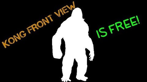 Kong Front View Link