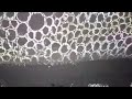 Fly Away Kuharus berjalan (original song)