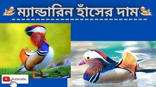 ম্যান্ডারিন হাঁসের দাম কত কোথায় পাব Mandarin duck price in Bangladesh& India- পোষা প্রাণী - Pet