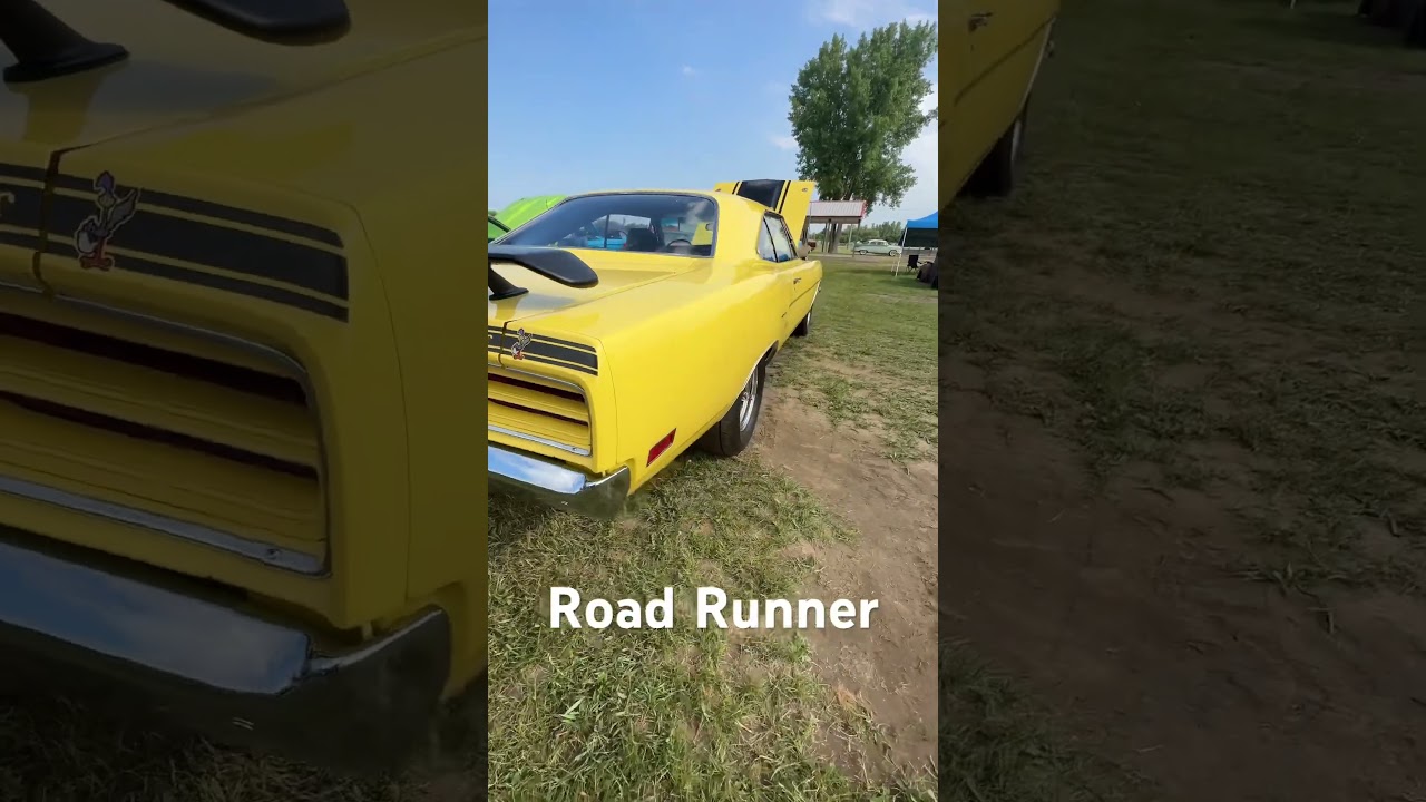 BEEP BEEP! Road Runner - YouTube
