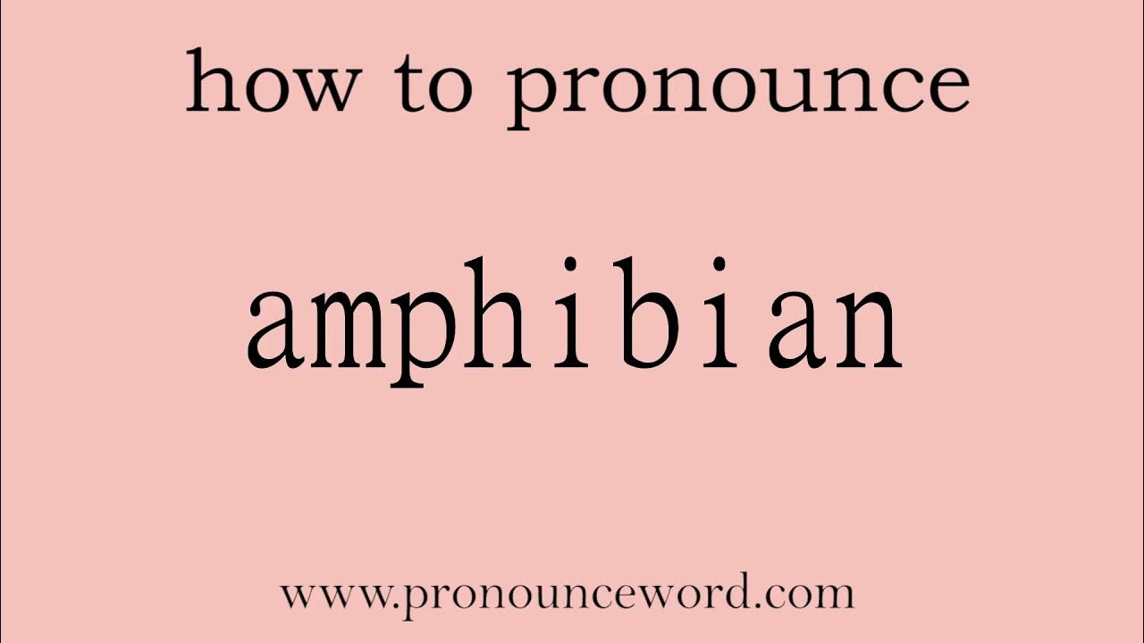 amphibian: How to pronounce amphibian in english (correct!).Start with