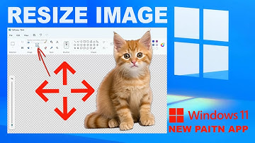 How To Quickly Resize Any Picture Using The New Paint App In Windows 11