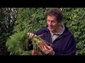 Gardening Advice episode 2 - How to grow onions