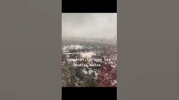 Thumbnail of temporal de amor #short #classic#newyorkcity #temporaldeamor