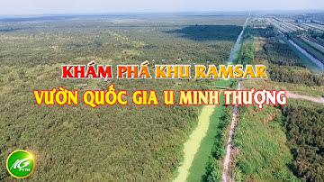 Khám phá khu Ramsar Vườn Quốc gia U Minh Thượng | THKG